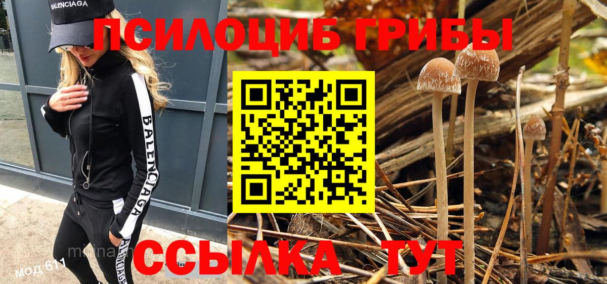 Кострома  закладка  Вход с VPN  Галлюциногенные грибы GOLDEN TEACHER 